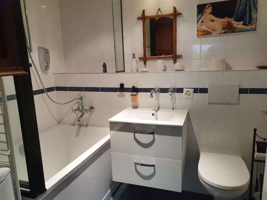 Appartement Dans Un Jardin Γενεύη Εξωτερικό φωτογραφία